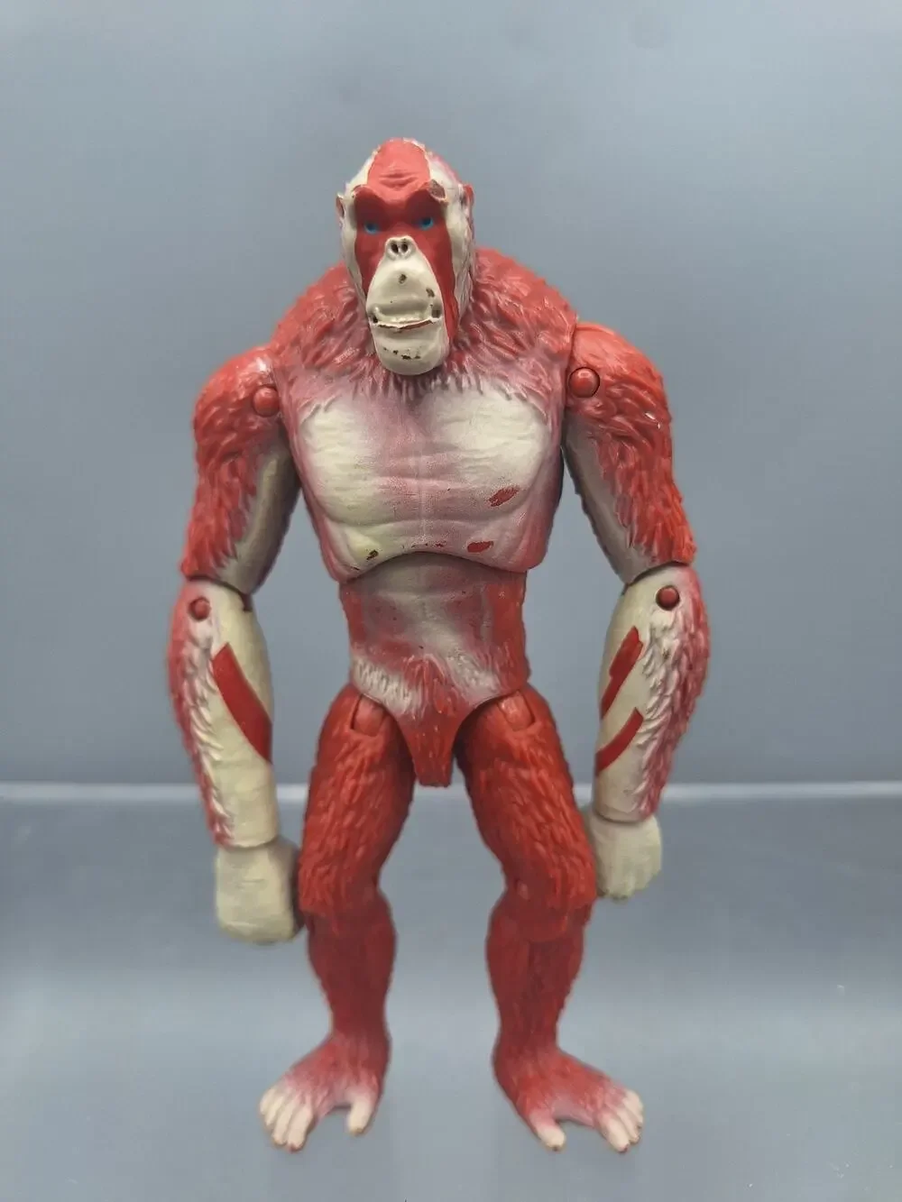 Godzilla X Kong~The New Empire~6